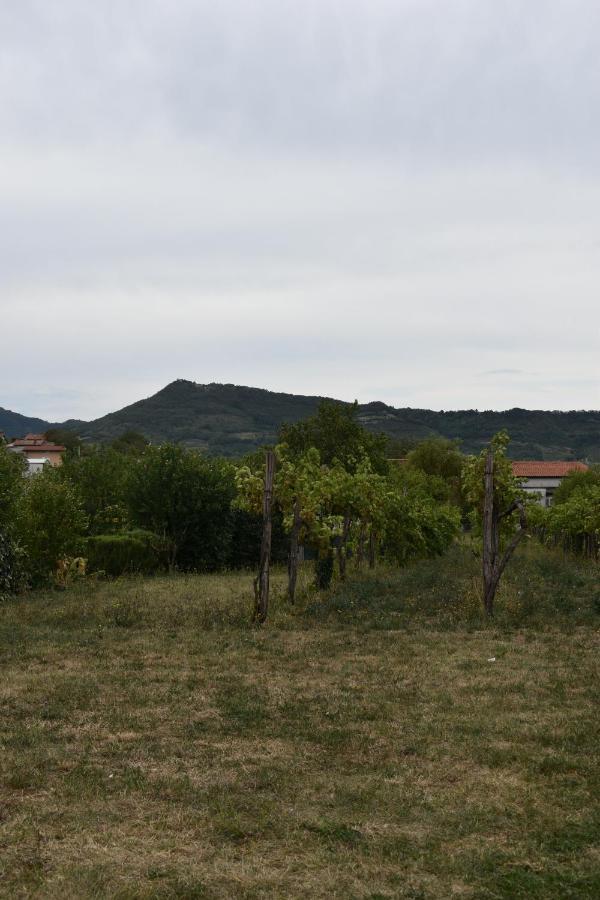 Small House In Vipava Valley Exterior foto